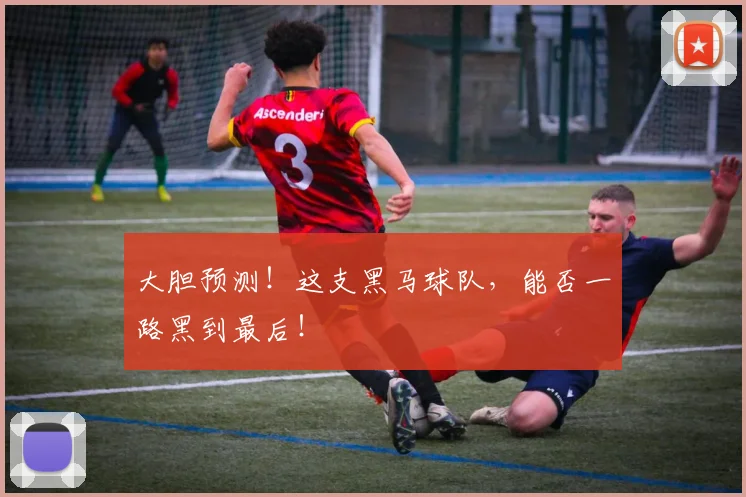 大胆预测！这支黑马球队，能否一路黑到最后！