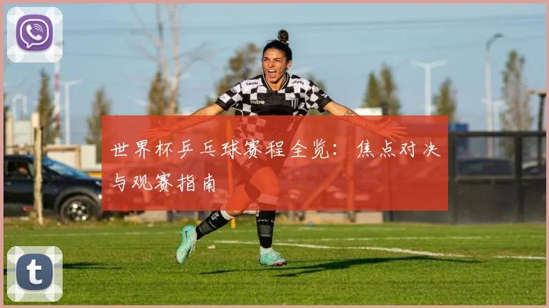 世界杯乒乓球赛程全览：焦点对决与观赛指南