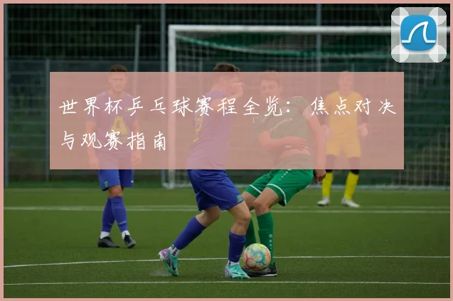 世界杯乒乓球赛程全览：焦点对决与观赛指南