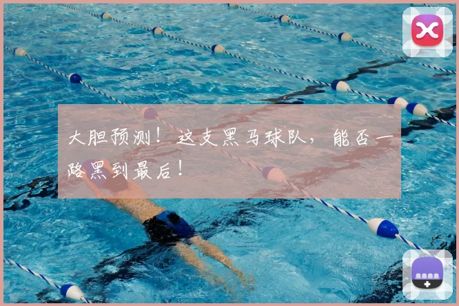 大胆预测！这支黑马球队，能否一路黑到最后！