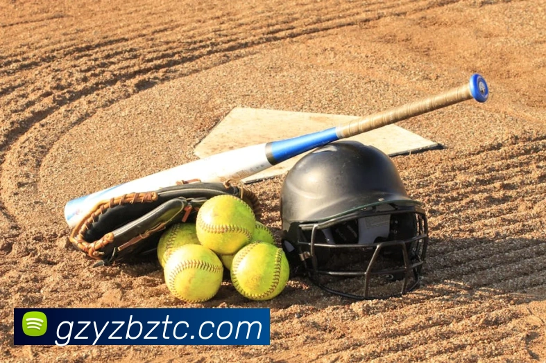 奖项证书
